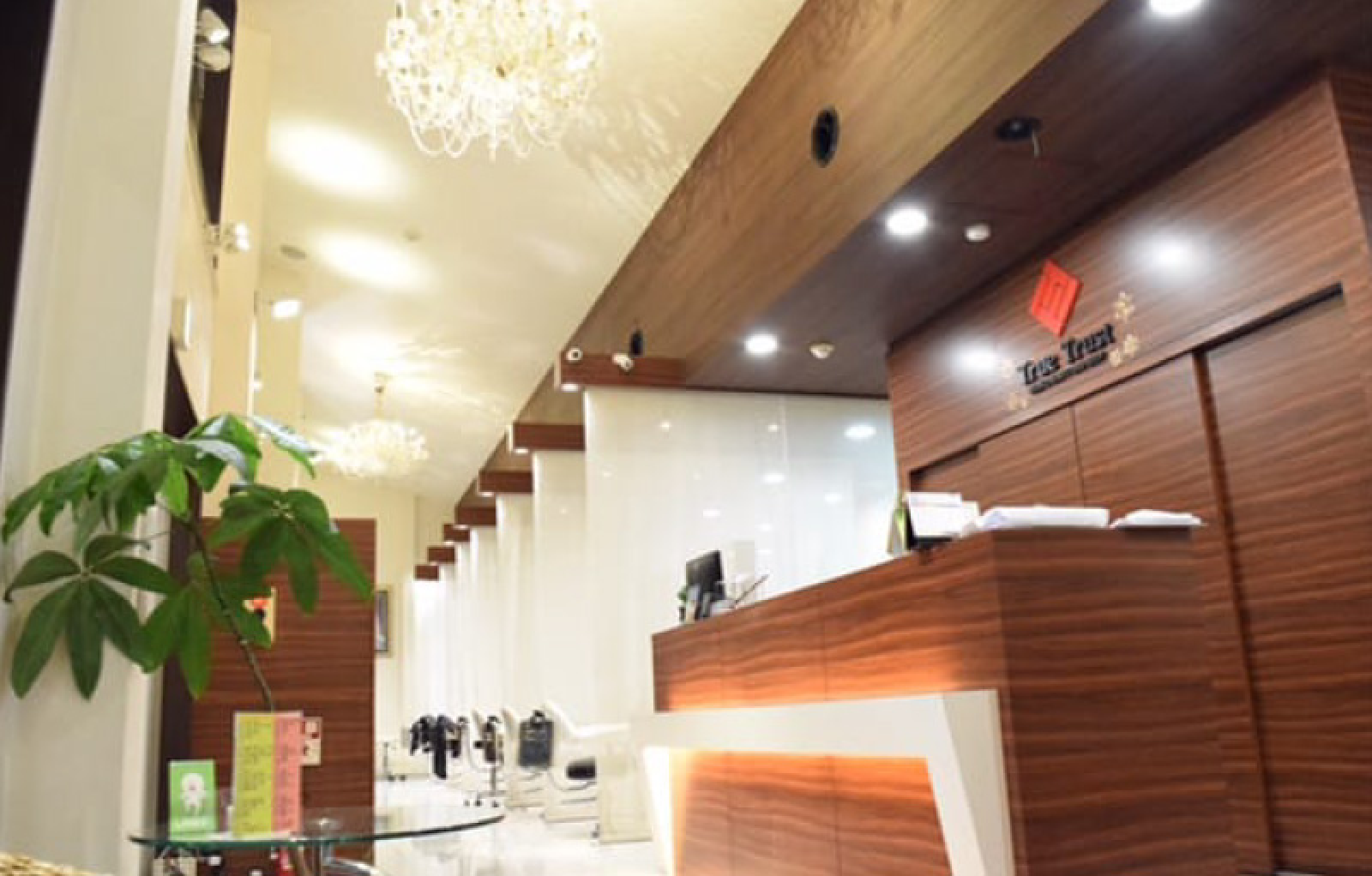 True Trust 和戸店 店舗写真